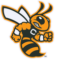 Yellow Jackets mascot photo.