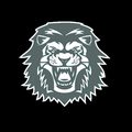 Lions mascot photo.