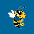 Yellowjackets mascot photo.