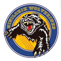 Wolverines mascot photo.
