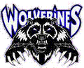 Wolverines mascot photo.