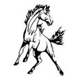 Mustangs mascot photo.
