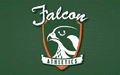 Falcons mascot photo.