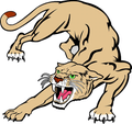 Cougars mascot photo.
