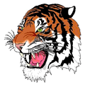 Tigers mascot photo.