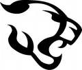 Cougars mascot photo.