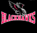 Blackhawks mascot photo.