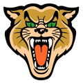 Wildcats mascot photo.
