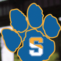 Sabers mascot photo.