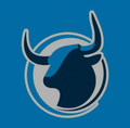 Bulls mascot photo.