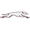 Greyhounds mascot photo.