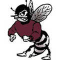 Gray Bees mascot photo.
