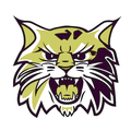 Wildcats mascot photo.