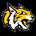 Wildcats mascot photo.