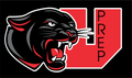 Panthers mascot photo.