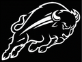 Buffaloes mascot photo.