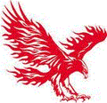 Fighting Eagles mascot photo.