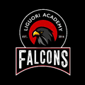 Falcons mascot photo.