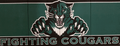 Fighting Cougars mascot photo.
