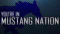 Mustangs mascot photo.