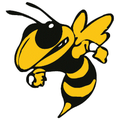 Yellowjackets mascot photo.