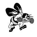 Fighting Bees mascot photo.