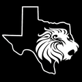 Lions mascot photo.