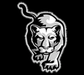 Cougars mascot photo.