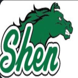 Shenendehowa