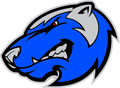 Wolverines mascot photo.