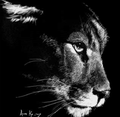 Cougars mascot photo.