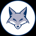Foxes mascot photo.