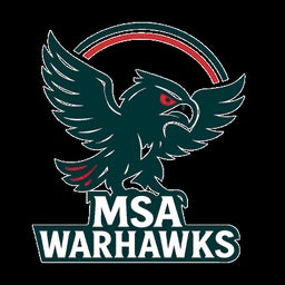 Mentoring Sports Academy