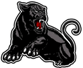Panthers mascot photo.