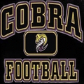 Cobras mascot photo.
