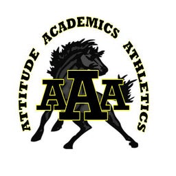 Triple A Academy