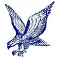 Falcons mascot photo.