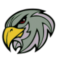 Falcons mascot photo.