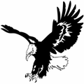 Eagles mascot photo.