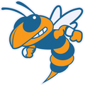Yellow Jackets mascot photo.