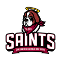 Saints mascot photo.