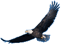 Eagles mascot photo.