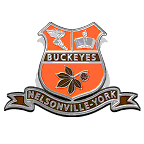 Colton Snyder High School Football Stats Nelsonville-York (Nelsonville
