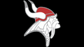 Vikings mascot photo.