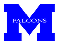 Falcons mascot photo.
