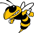 Yellowjackets mascot photo.