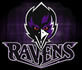 Ravens mascot photo.