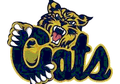 Bobcats mascot photo.
