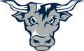 Mavericks mascot photo.