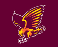 Firehawks mascot photo.
